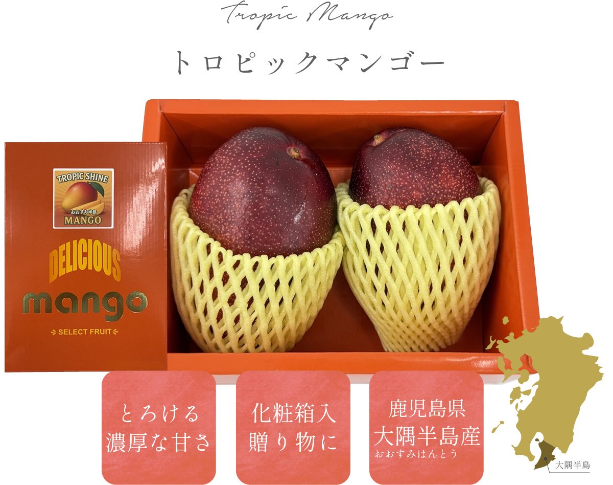 冷凍カットマンゴー「トロピックシャイン」 | 九州よかど市